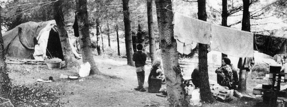 Woodland idyll - Tinkers Bubble.