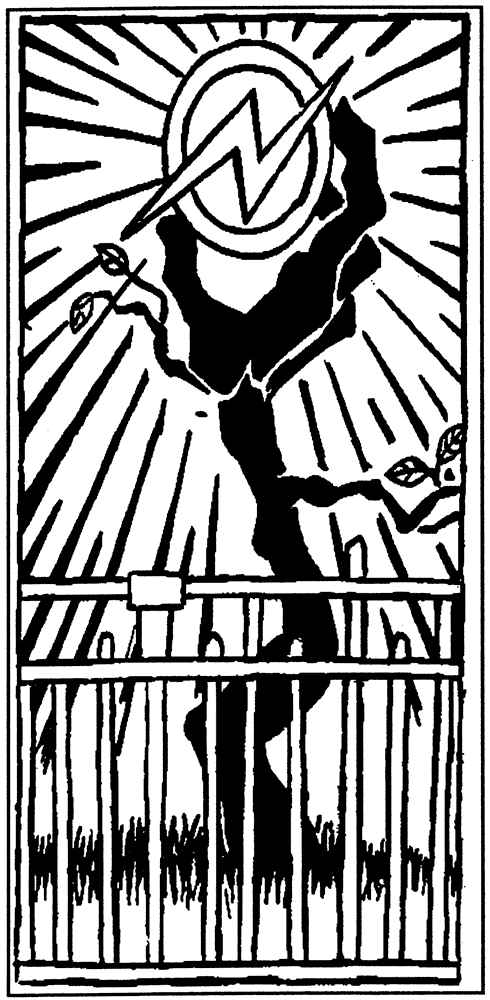 International Squatters