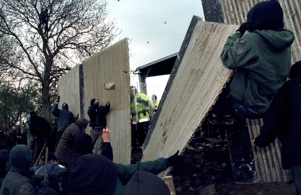 Demo at Hillgrove Cat Farm