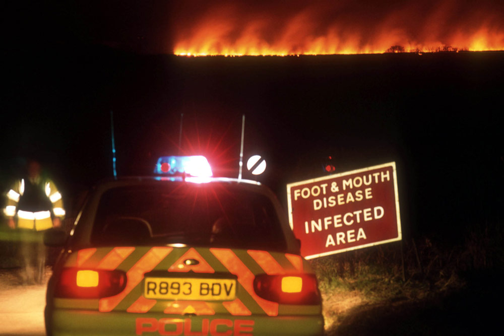 Farmer burns cattle in Mad Cow pyre